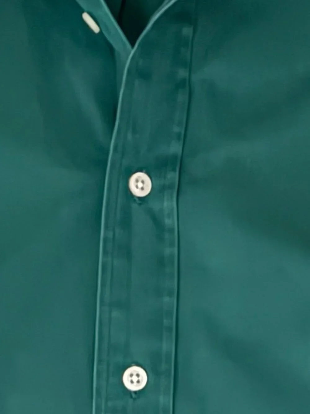 Polo Ralph Lauren this timeless